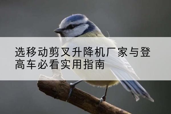 彭山电动升降机厂家-选移动剪叉升降机厂家与登高车必看实用指南
