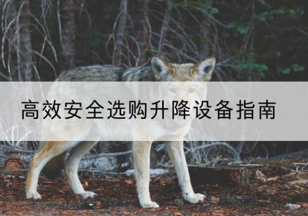 彭山升降货梯厂家推荐-*安全选购升降设备指南