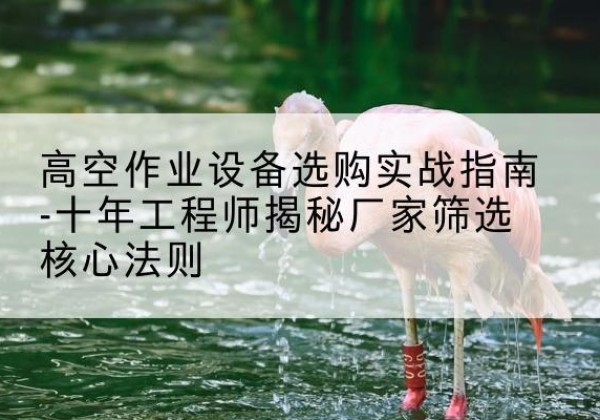 彭山剪叉式升降机厂家-高空作业设备选购实战指南-十年工程师揭秘厂家筛选核心法则