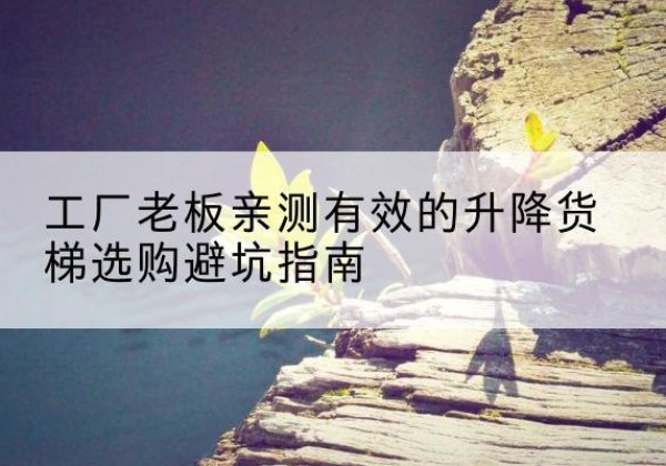 彭山升降货梯怎么选-工厂老板亲测有效的升降货梯选购避坑指南